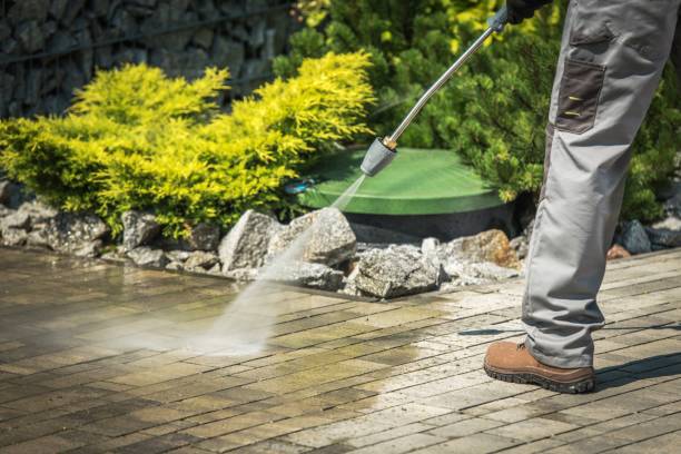 Best Spring Cleaning  in San Dimas, CA