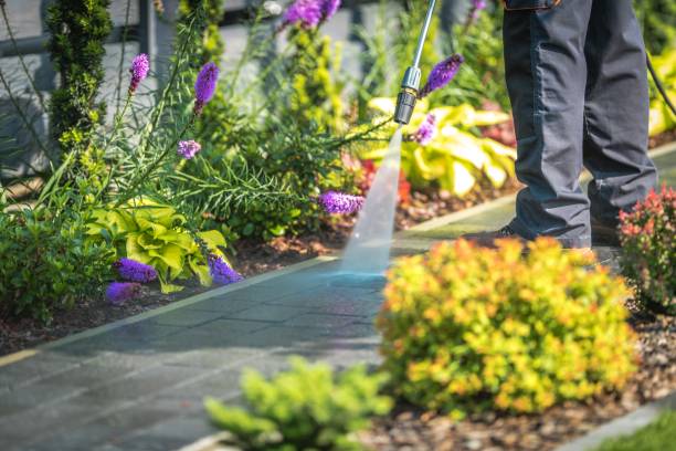 Winterizing Services in San Dimas, CA